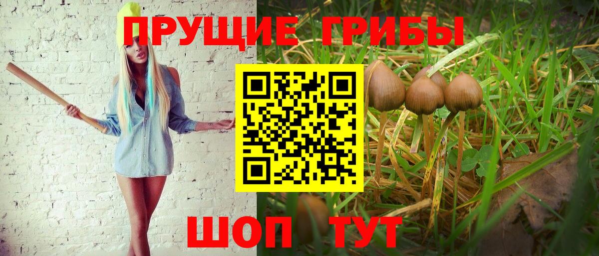 Кузнецк  Псилоцибиновые грибы мицелий  Галлюциногенные грибы ЛСД  Вход с VPN 